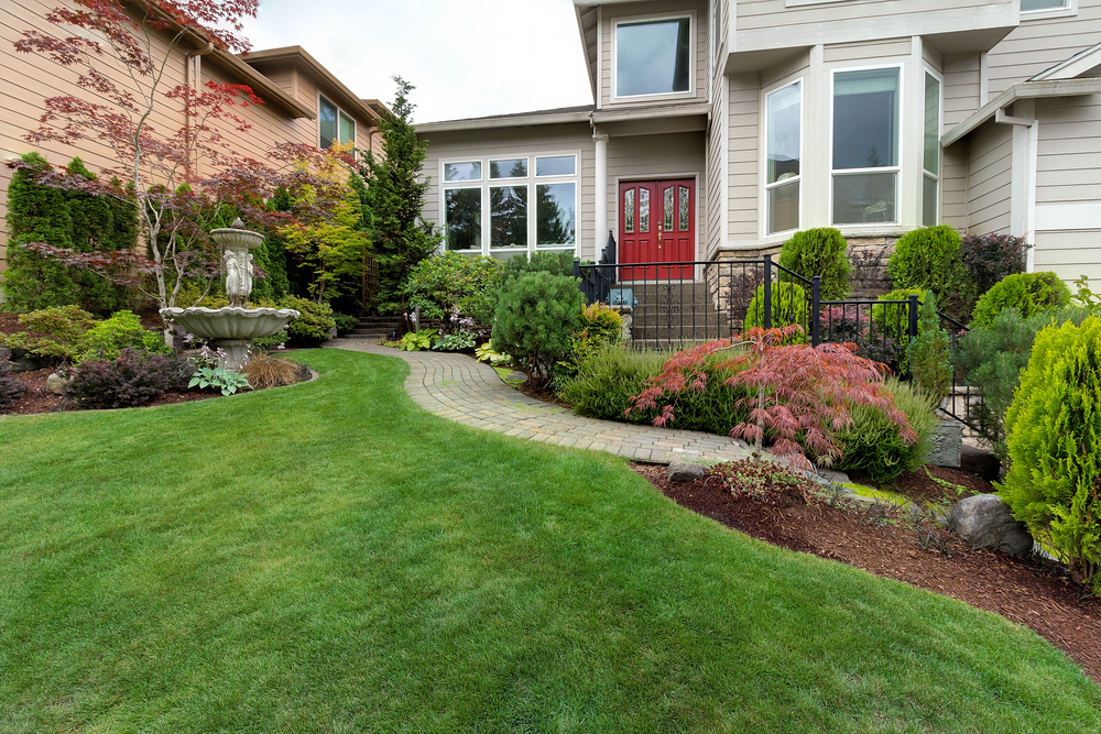 A Fresh Start: Transforming Your Landscape