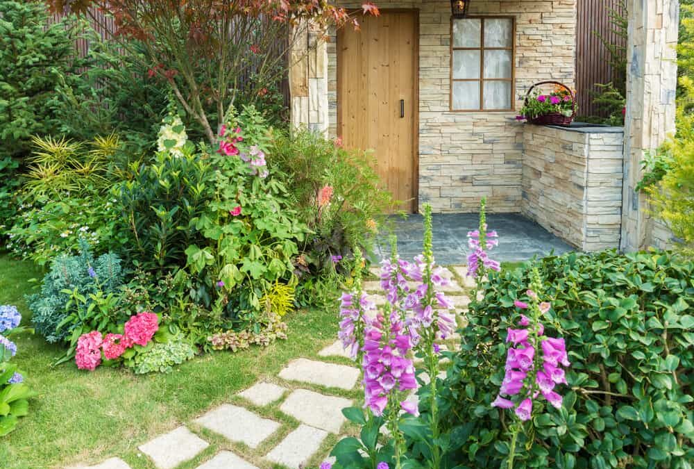 Neighborhood Envy: Landscape Edition