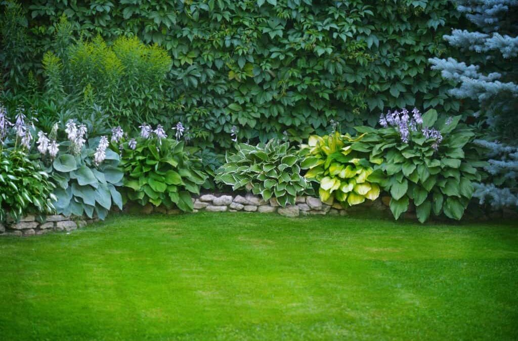 Why You Should Shop Local: Garden Center Edition