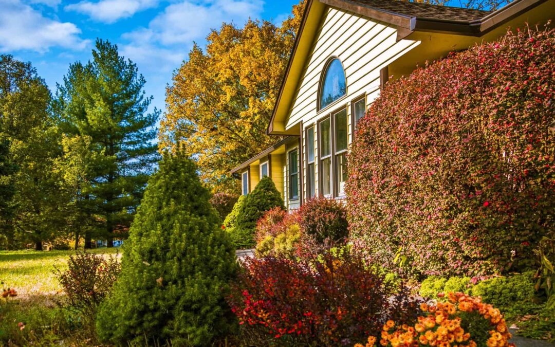 Get Your Garden Ready With Annual Flowers!