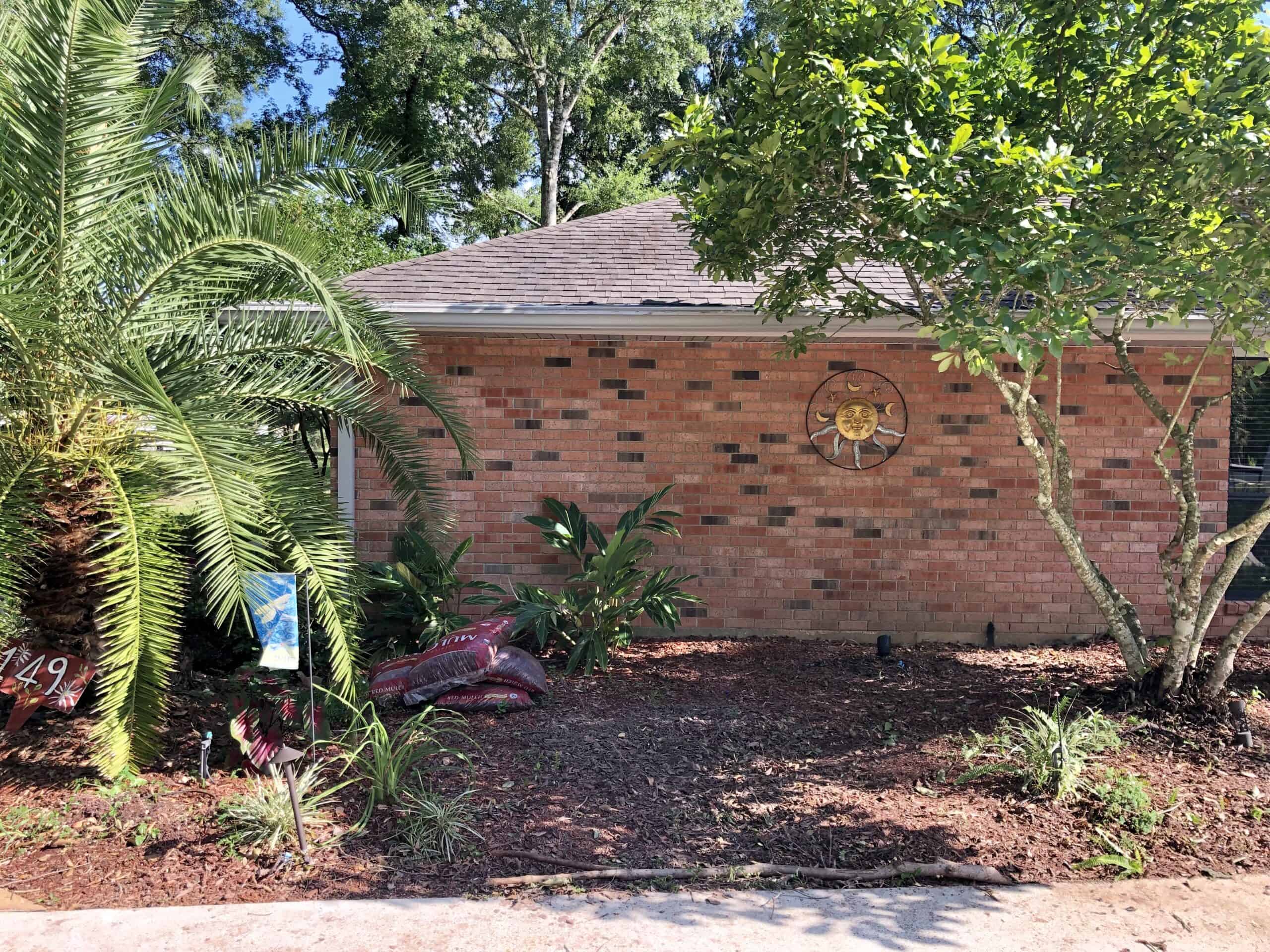 Beginning yard cleanup