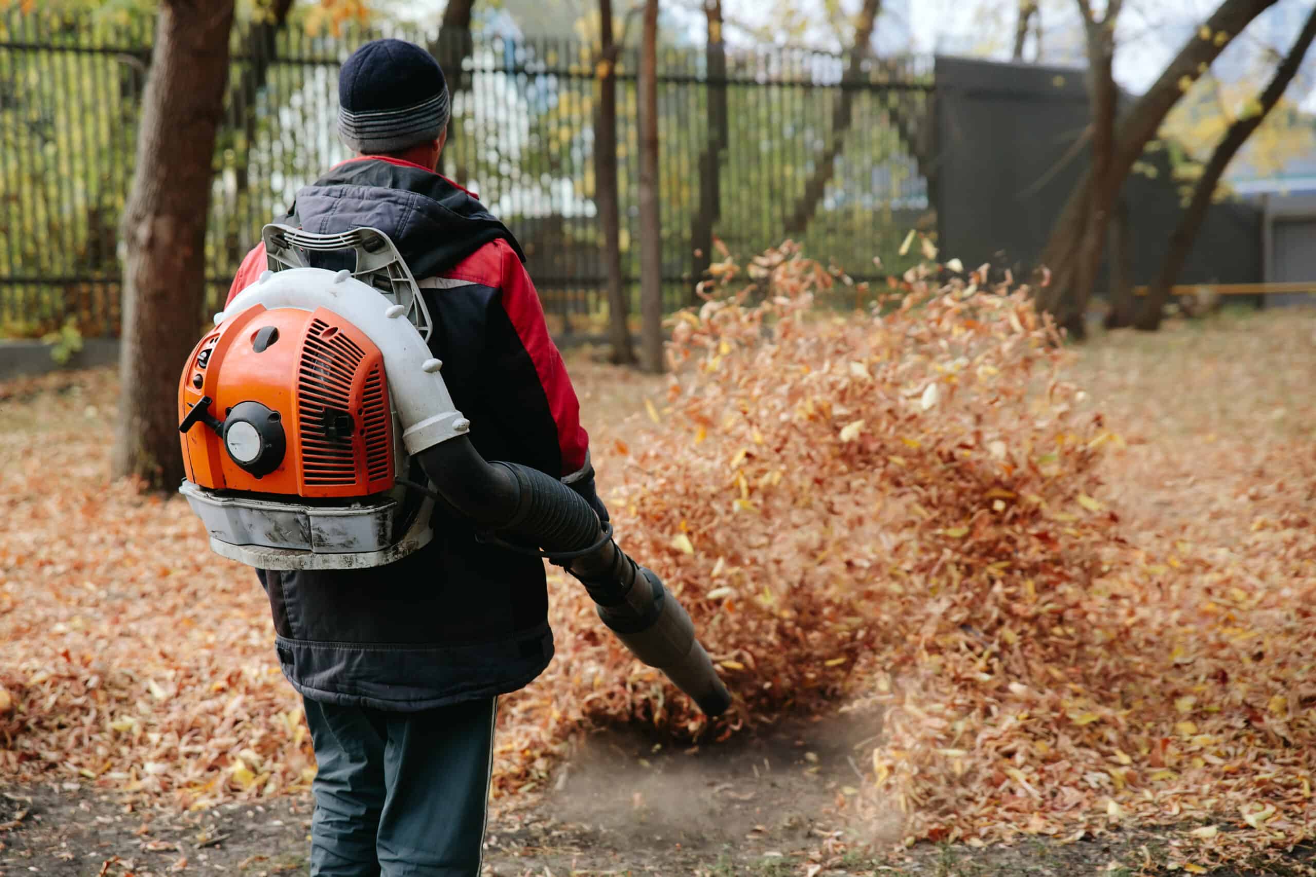 Get your property ready for the changing seasons. Learn about the benefits of professional fall cleanups with our guide.