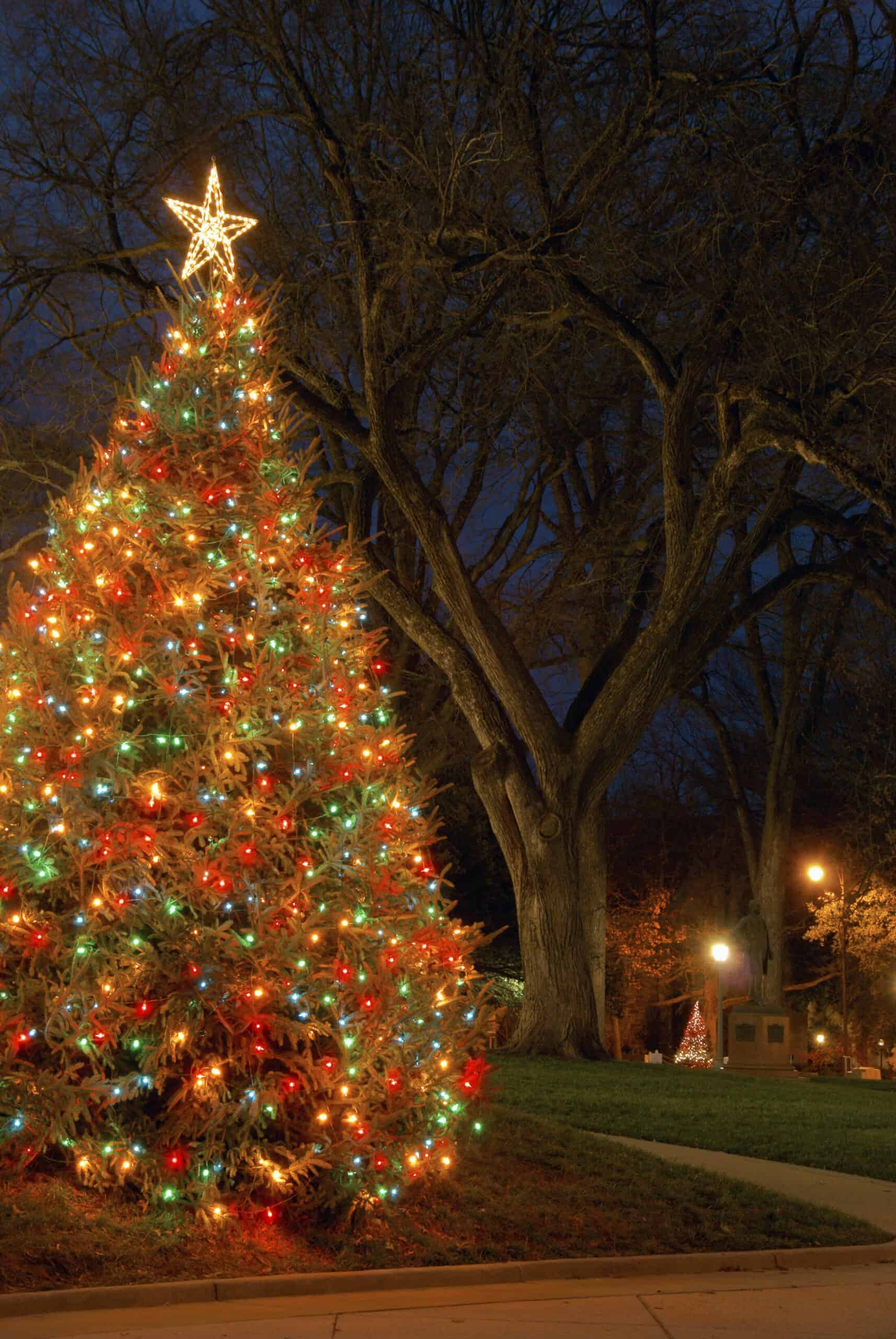 Discover the challenges of Christmas light setup and gain expert tips for a safe and secure display.