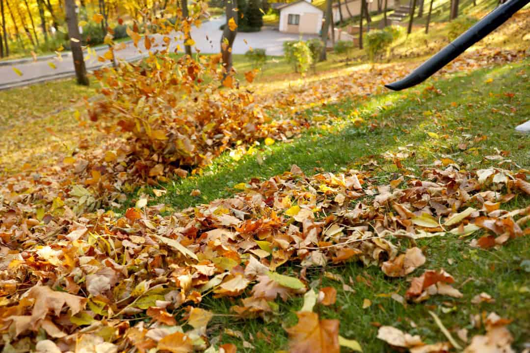 you want to ensure you complete every fall cleanup task for maximum benefits